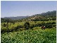 Lot 3, 43 Walli Creek Road, Kenilworth QLD 4574