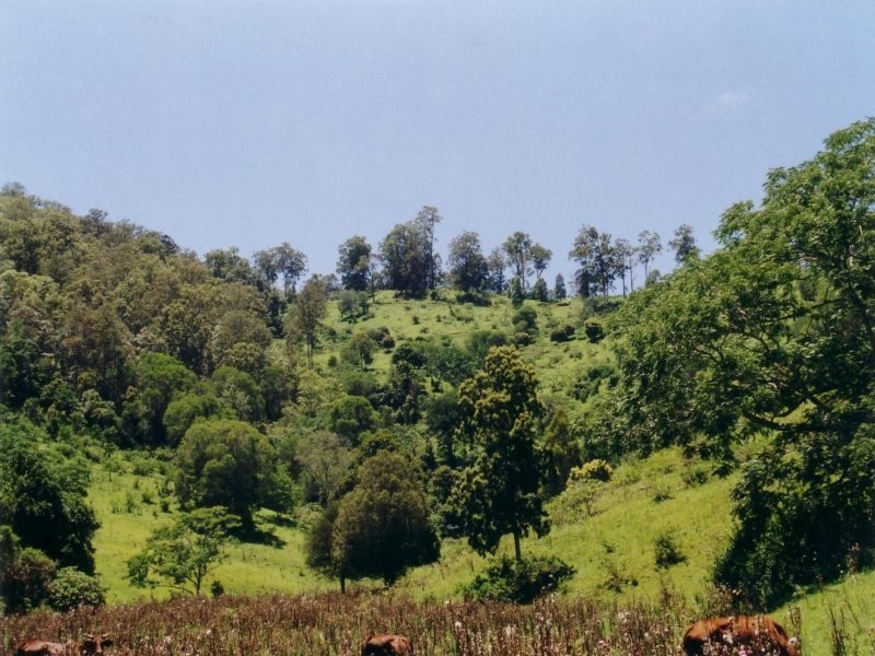 Lot 3, 43 Walli Creek Road, Kenilworth QLD 4574
