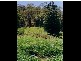 Lot 3, 43 Walli Creek Road, Kenilworth QLD 4574