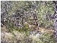 Lot 1 Government Road, Burrum Town QLD 4659