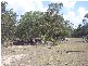 Lot 1 Government Road, Burrum Town QLD 4659