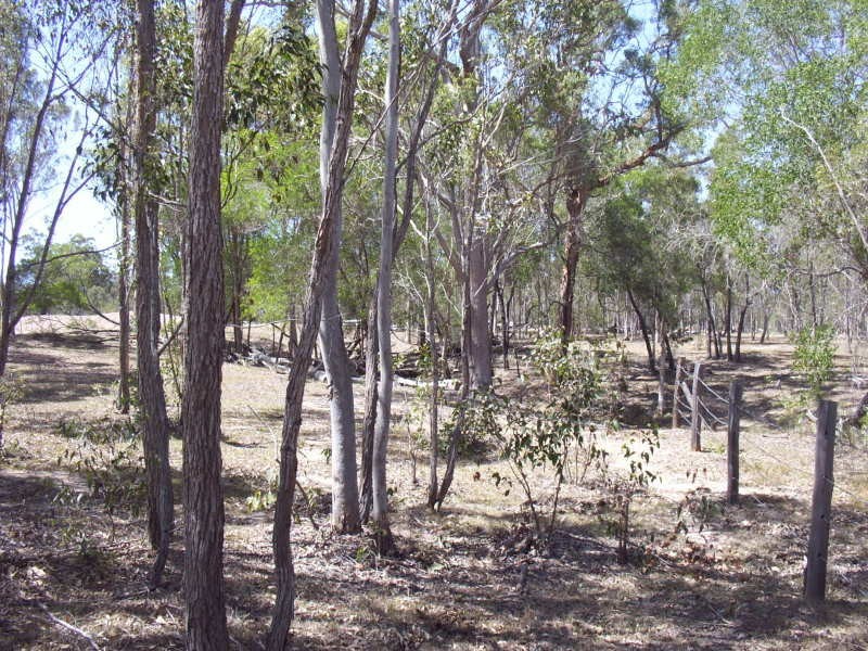Lot 1 Government Road, Burrum Town QLD 4659