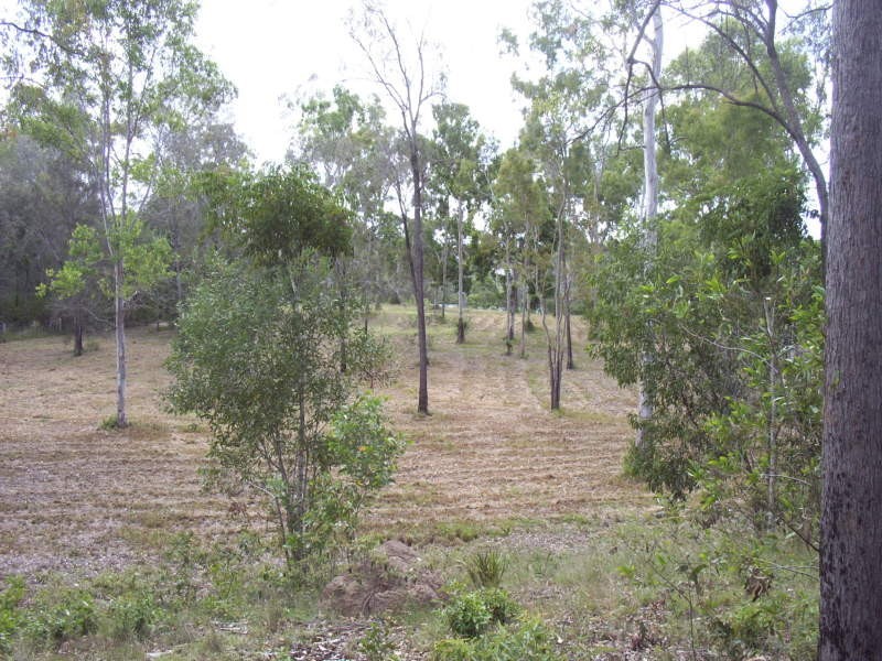 206 Pacific Haven Circuit, Pacific Haven QLD 4659