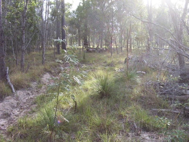 Pacific Haven Circuit, Pacific Haven QLD 4659