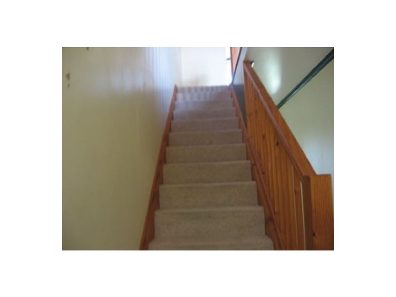 12/4 Pilot, Urangan QLD 4655