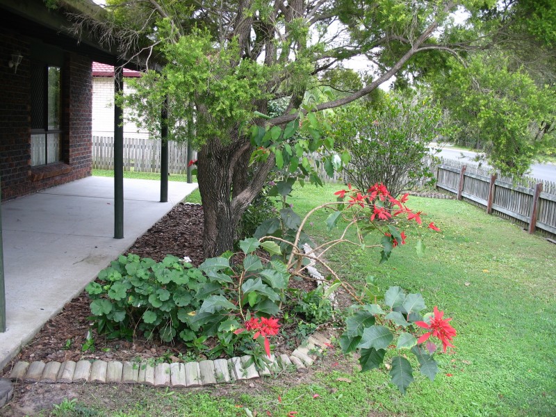 93 Pulgul Street, Urangan QLD 4655