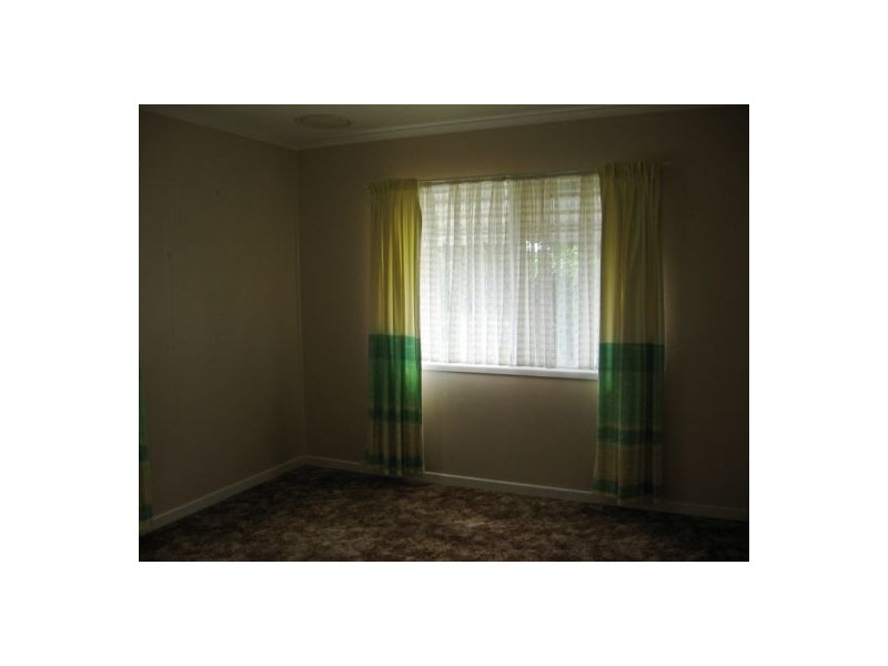 17 Maple Street, Pialba QLD 4655