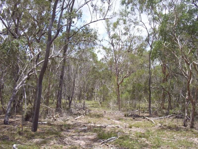 Pacific Haven Circuit, Pacific Haven QLD 4659