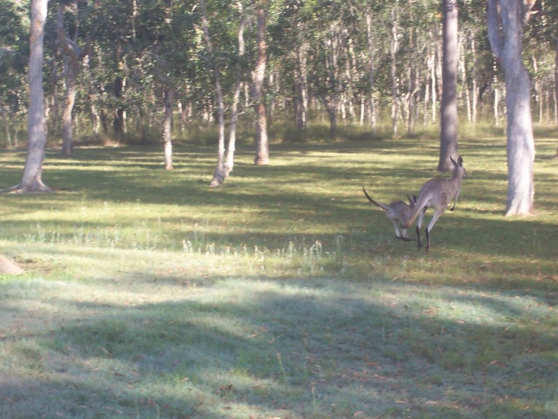 115 pacific haven dve, Pacific Haven QLD 4659