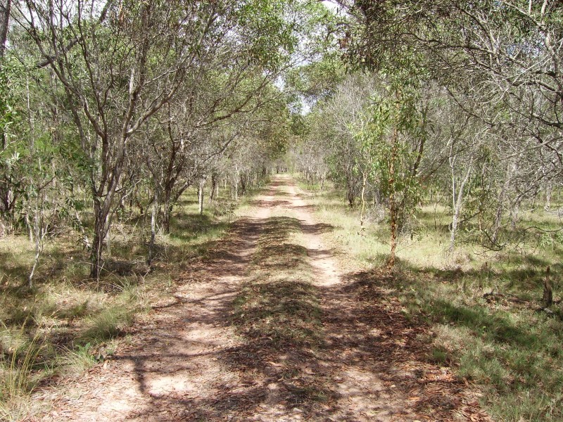 115 pacific haven dve, Pacific Haven QLD 4659