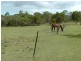 129 Condor Drive, Sunshine Acres QLD 4655