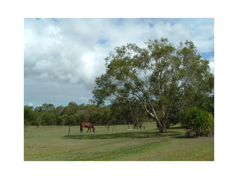 129 Condor Drive, Sunshine Acres QLD 4655