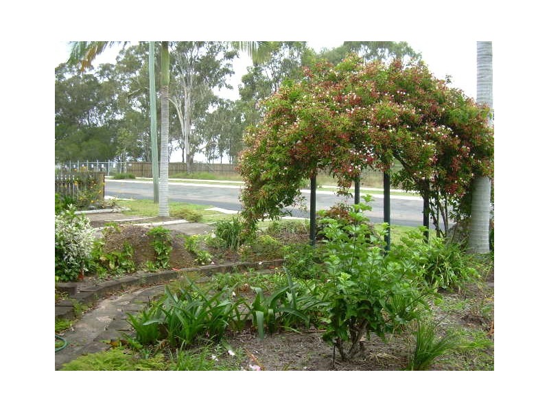 31 Halcro Street, Hervey Bay QLD 4655