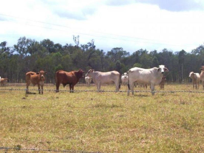 Susan River QLD 4655