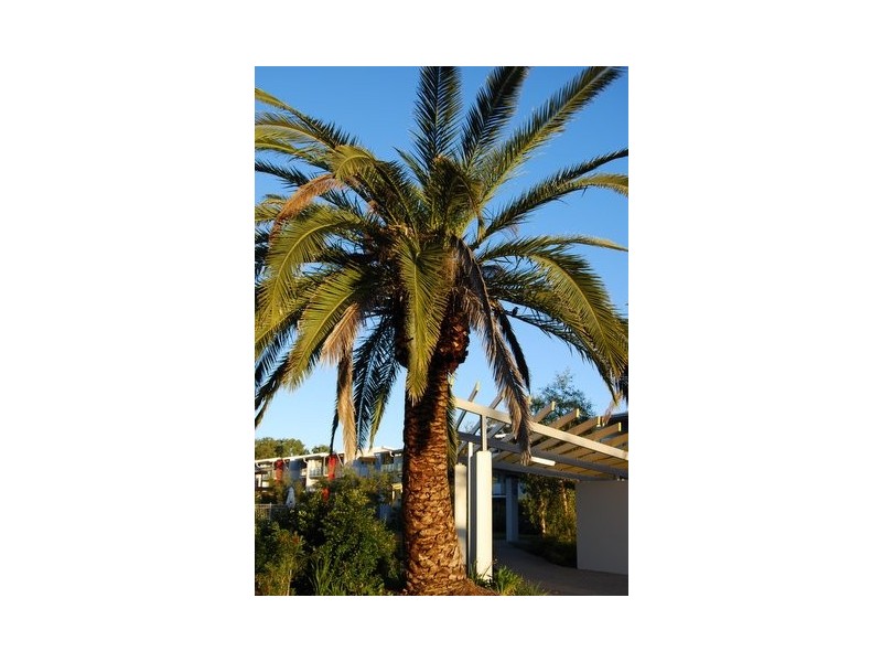 15/68 Pulgul St, Urangan QLD 4655