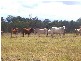 Hervey Bay QLD 4655