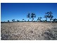 Hervey Bay QLD 4655