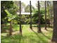 Urraween QLD 4655