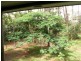 Urraween QLD 4655