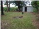 88 Lauren Street, Urangan QLD 4655