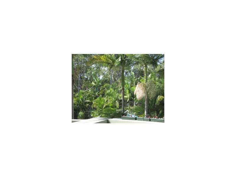 11/386 Esplanade, Hervey Bay QLD 4655