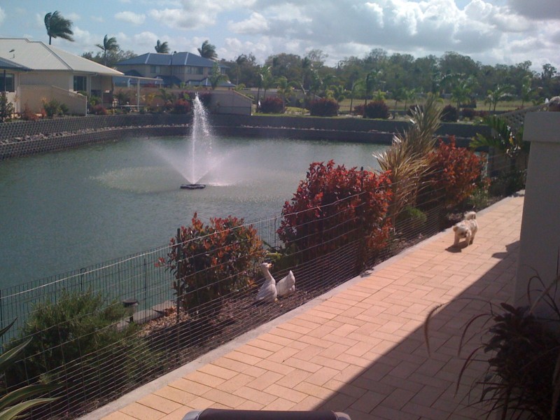 Eli Waters QLD 4655