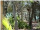 Scarness QLD 4655