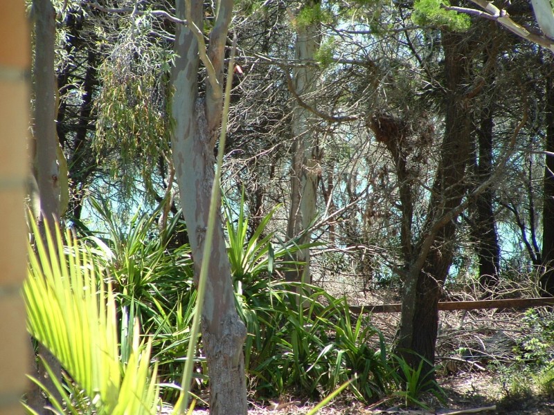 Scarness QLD 4655