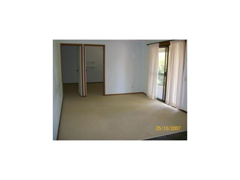 29 Honiton Street , Torquay QLD 4655