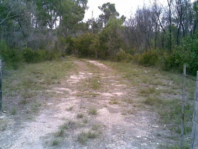 Beelbi Creek QLD 4659