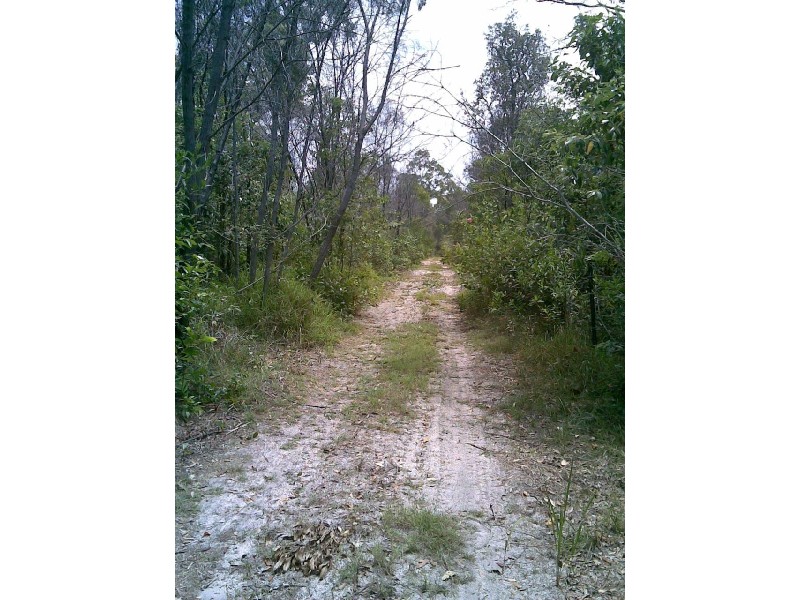 Beelbi Creek QLD 4659