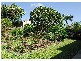 44 Hansen Street, Hervey Bay QLD 4655