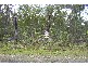 Pacific Haven QLD 4659