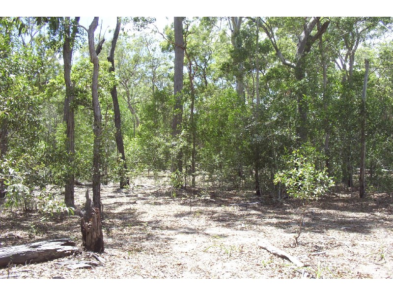 Pacific Haven QLD 4659