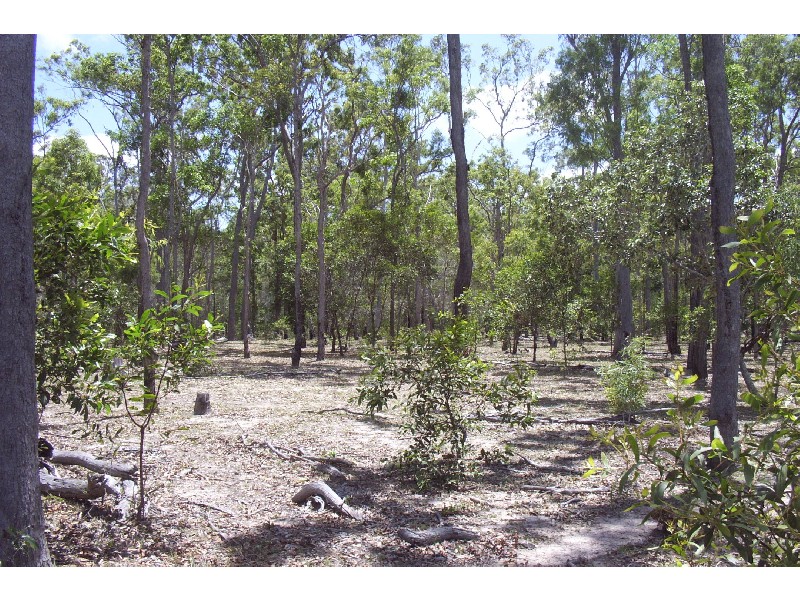 Pacific Haven QLD 4659