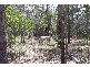Pacific Haven QLD 4659