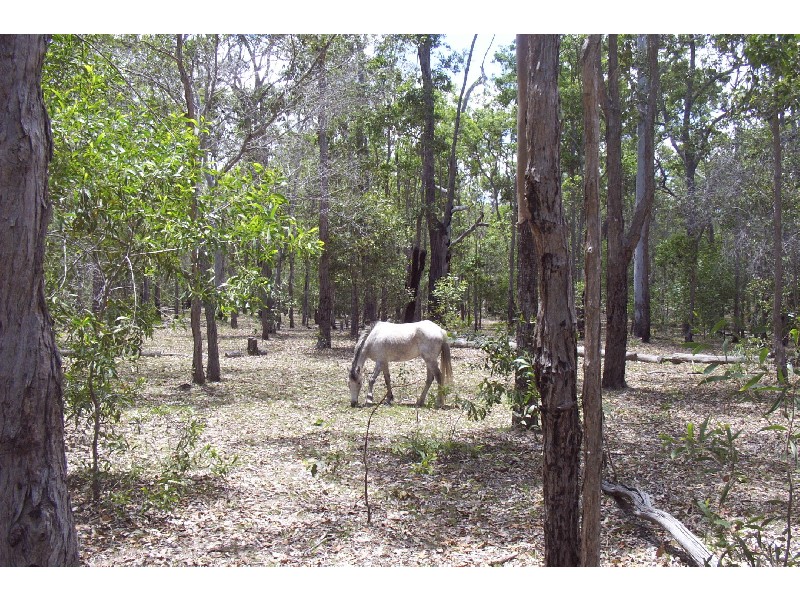 Pacific Haven QLD 4659