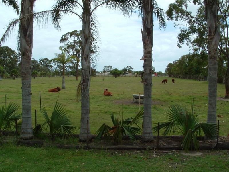 45 Shore Road West, Booral QLD 4655