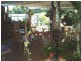 16 Southerden Street, Torquay QLD 4655