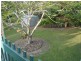 Urraween QLD 4655