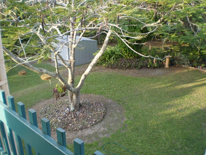 Urraween QLD 4655