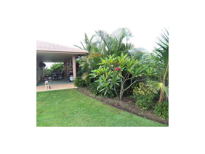 11 currawong, Eli Waters QLD 4655