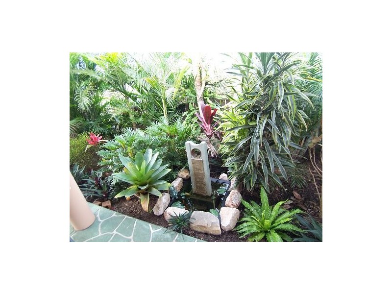 11 currawong, Eli Waters QLD 4655