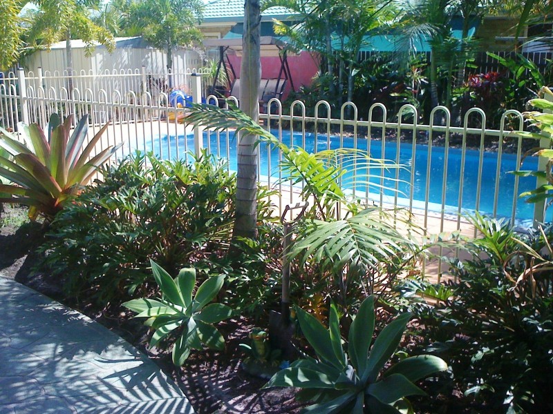 11 currawong, Eli Waters QLD 4655