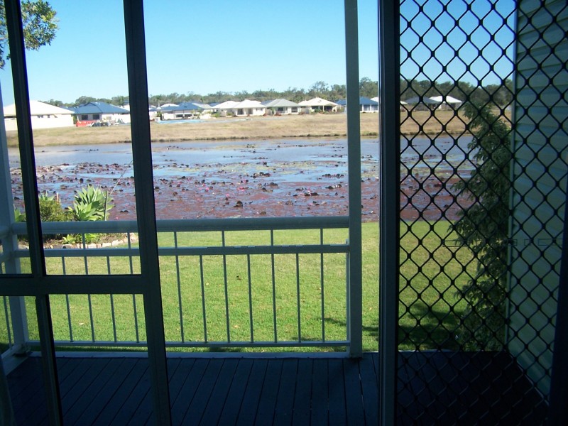 36 Willow Ave. Hazelmere Village, Eli Waters QLD 4655