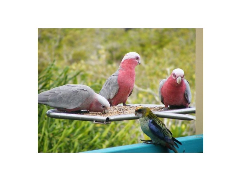 210 Pacific Drive, Booral QLD 4655