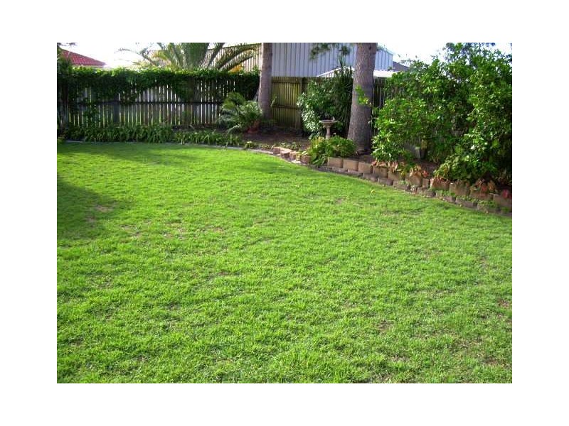 38 Thornbill Drive, Eli Waters QLD 4655