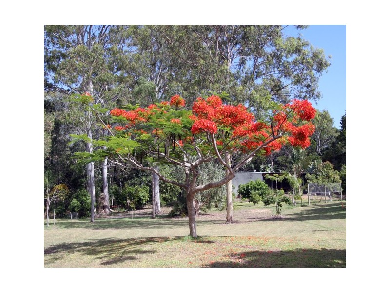 Toogoom QLD 4655