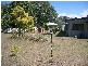 1115 Torbanlea Rd, Takura QLD 4655