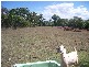 1115 Torbanlea Rd, Takura QLD 4655